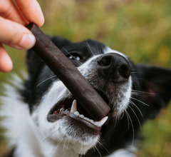 Ostrich Prime Tender Sticks 1 pc