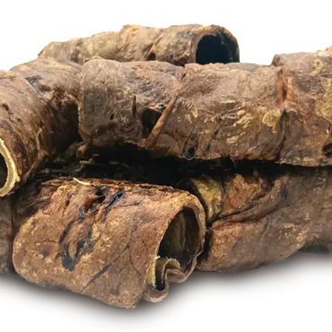 Buffalo Trachea Wrapped  Lung 1 pc