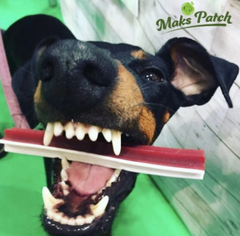 Vegetarian Star Sticks