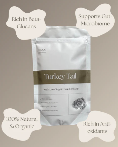 Turkey Tail Powder (Excl VAT @ 20%)