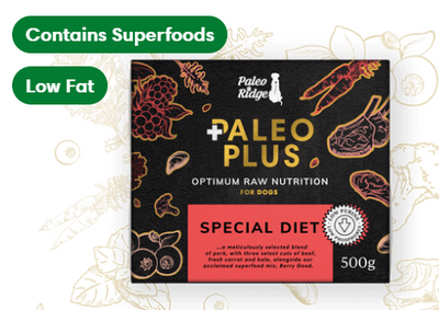 Paleo Plus Special Diet