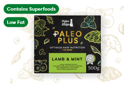 Paleo Plus Lamb & Mint Plus