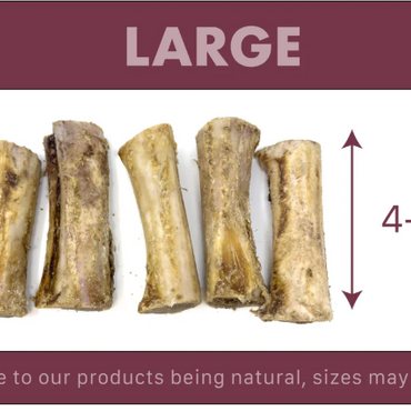 Air Dried Filled Buffalo Bone