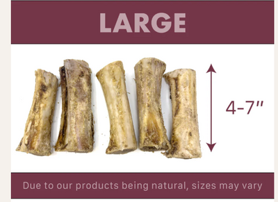 Air Dried Filled Buffalo Bone