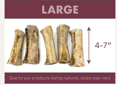 Air Dried Filled Buffalo Bone