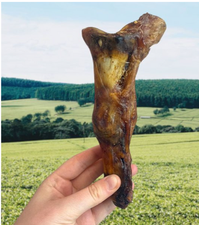 Ostrich Foot Large