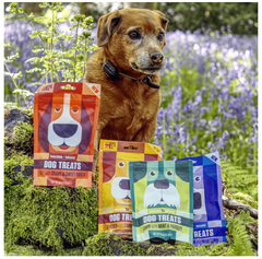 Beef with Gravy & Sweet Potato, 100g Dog Treats (exc 20% tax)