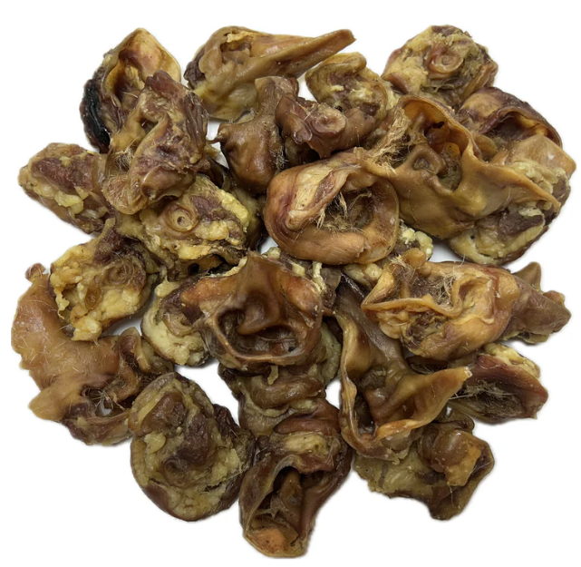 Porky Ear Scratching