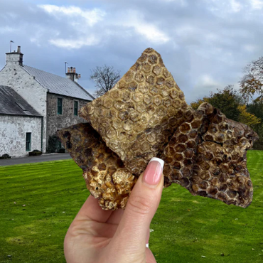 Puffed Lamb Lung Jerky