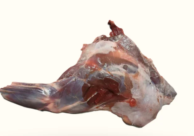 Muntjac Deer Meaty fore leg