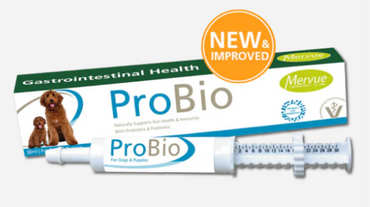 Mervue ProBio Paste For Dogs & Puppies Gastrointestinal/Gut Health & Immunity (excl. 20% VAT) (Copy)