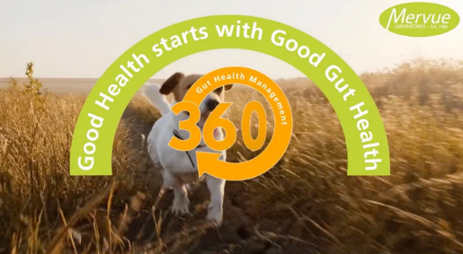 Mervue ProBio Paste For Dogs & Puppies Gastrointestinal/Gut Health & Immunity (excl. 20% VAT) (Copy)