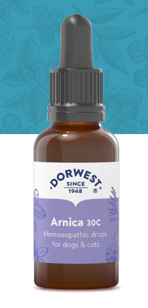 Arnica 15C (excl. 20% VAT)