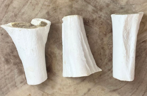 Filled Sterilised Bones Meaty