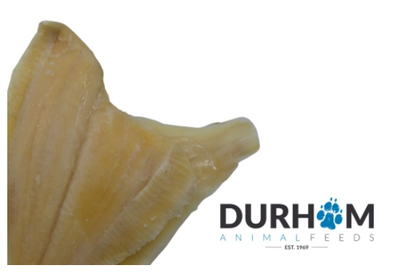 Plaice Fillets
