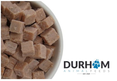 Salmon Cubes