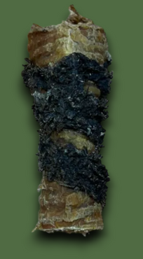 Tripe Wrapped Bully Tube