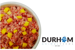Chicken & Mango Mince