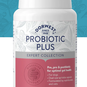 Probiotic Plus for Dogs (excl. 20% VAT)