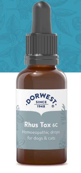 Rhus Tox 6C - 15ml Liquid (excl. 20% VAT)