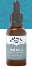 Rhus Tox 6C - 15ml Liquid (excl. 20% VAT)