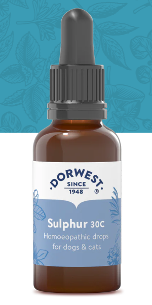 Sulphur 30C - 15ml Liquid (excl. 20% VAT)