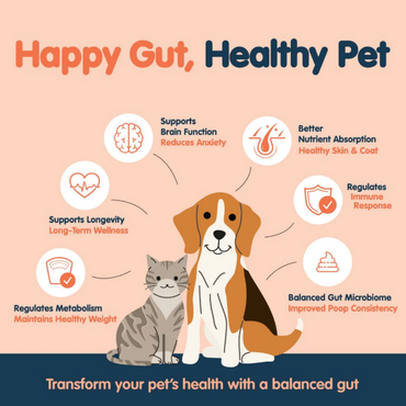 Frozzys Happy Gut Yogurt Squeeze - Dog ( exc 20% tax)