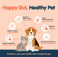 Frozzys Happy Gut Yogurt Squeeze - Dog ( exc 20% tax)