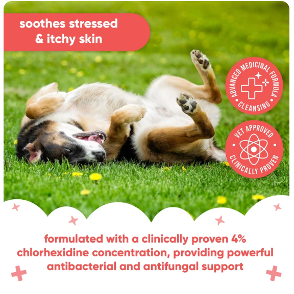 Pet Antiseptic Chlorhexidine Medicated Shampoo 500ml excl. 20% VAT)