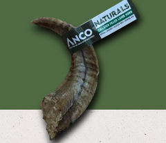 Collagen Filled Lamb Horn
