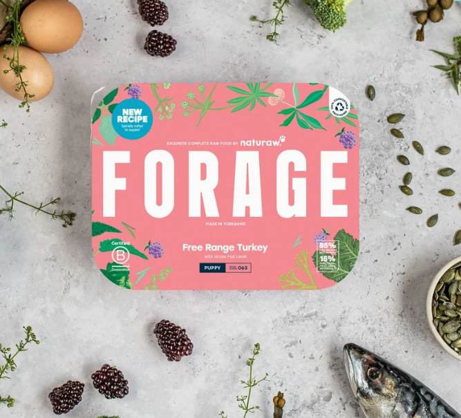 NATURAW Forage Puppy: Free Range Turkey  500g