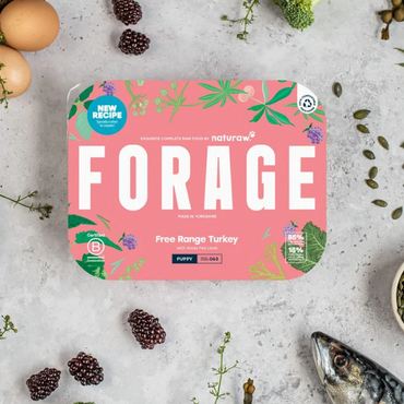 NATURAW Forage Puppy: Free Range Turkey  500g