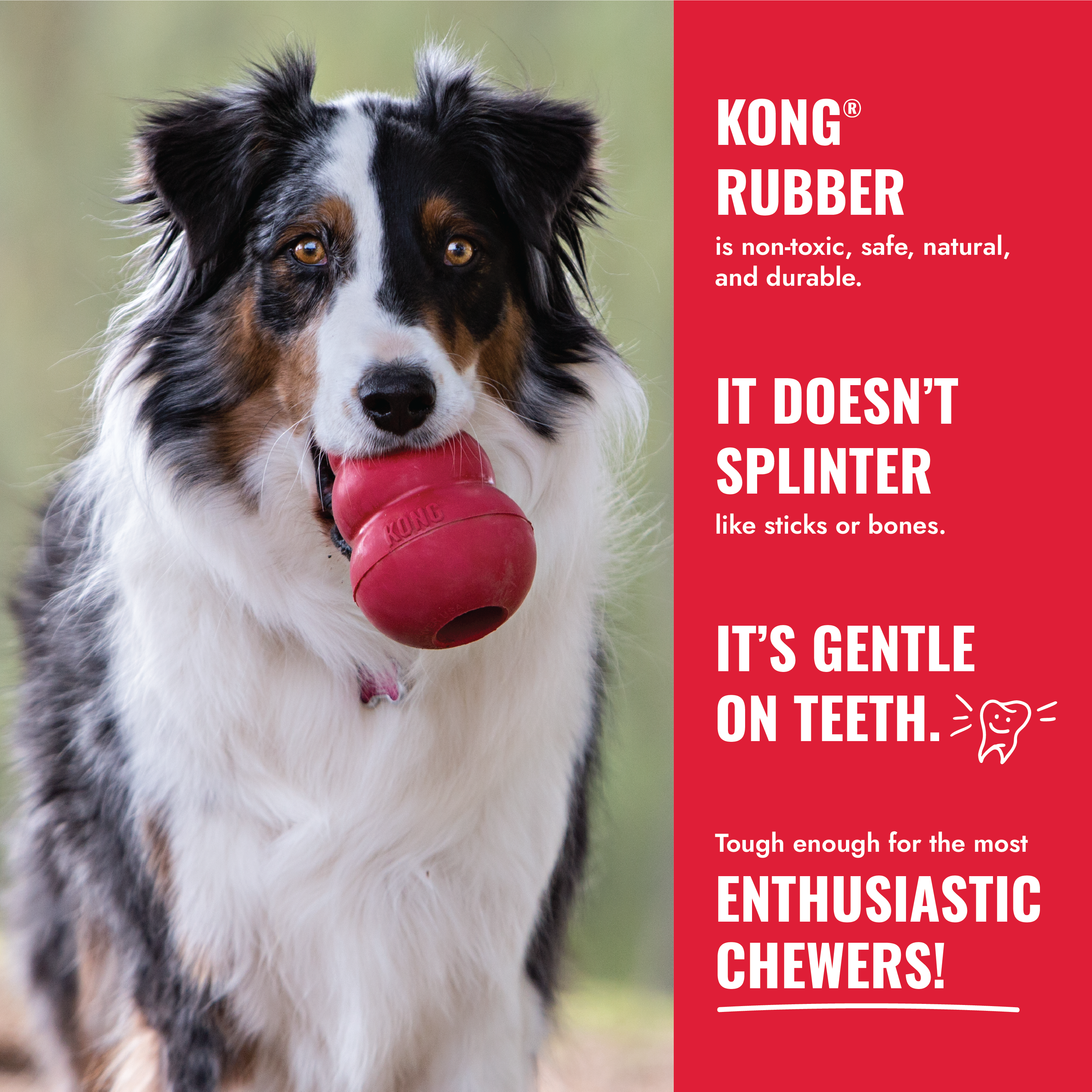 KONG® Goodie Ribbon