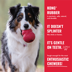 KONG® Goodie Ribbon