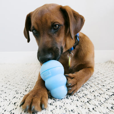 KONG® Snacks Puppy (Sm)