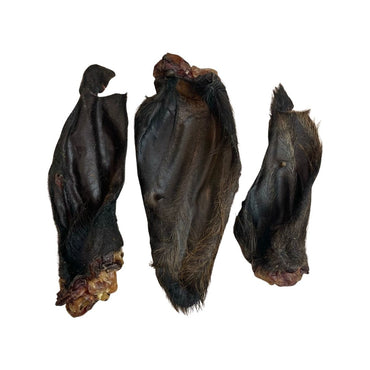 Buffalo Ears - 1pc