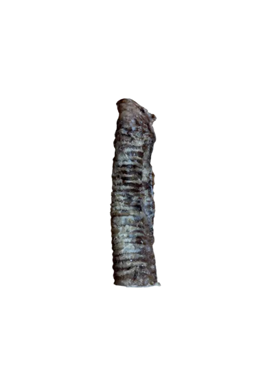 Bully tubes (Beef trachea)