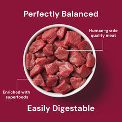 Nutriment Cat Beef formula - Adult (plus VAT @ 20%)