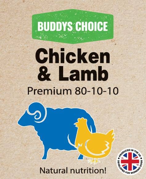 Buddys Choice Chicken & Lamb