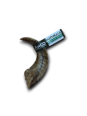 Collagen Filled Lamb Horn
