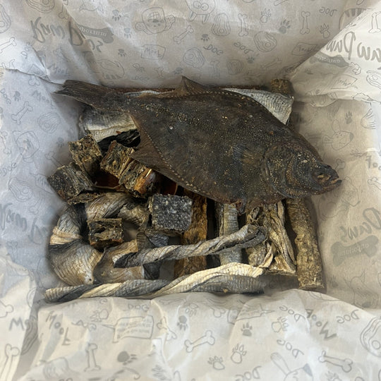 The Fish Fiesta Box