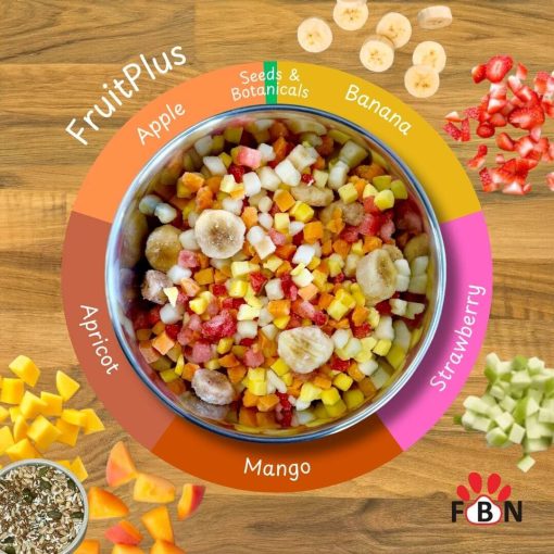 FRUITPLUS – A blend of 5 fruits with 7 added botanicals.