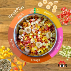 FRUITPLUS – A blend of 5 fruits with 7 added botanicals.