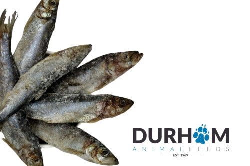 Herring Whole