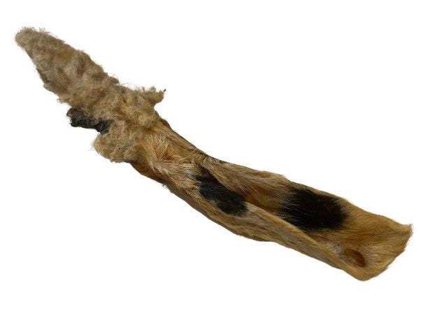 Hairy Lamb Ear Stick