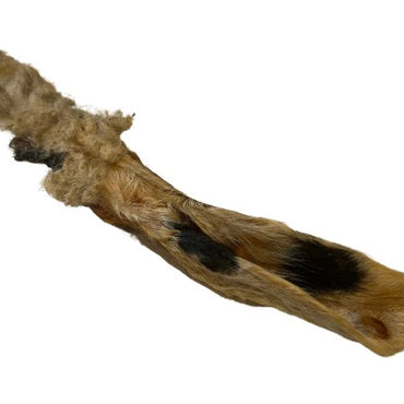 Hairy Lamb Ear Stick