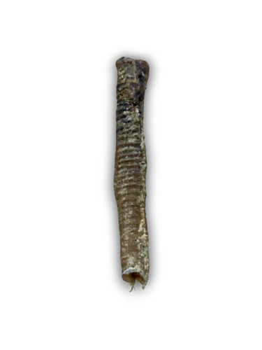 Lamb tubes (lamb trachea)