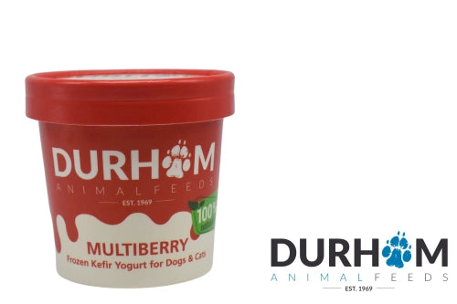 Organic Kefir Yoghurt 85ml