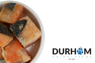 Salmon Chunks