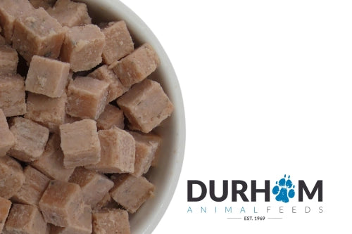 Salmon Cubes